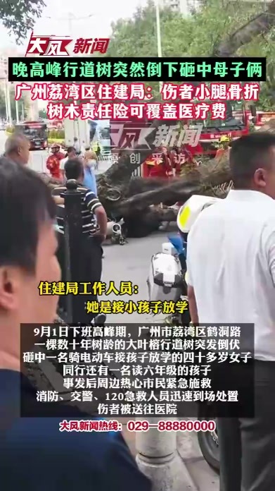 晚高峰行道树突然倒下，砸中母子俩；广州荔湾区住建局：伤者小腿骨折，树木责任险可覆盖医疗费