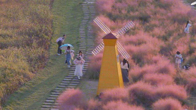 10月27日(2) 00_00_16-00_00_17.gif