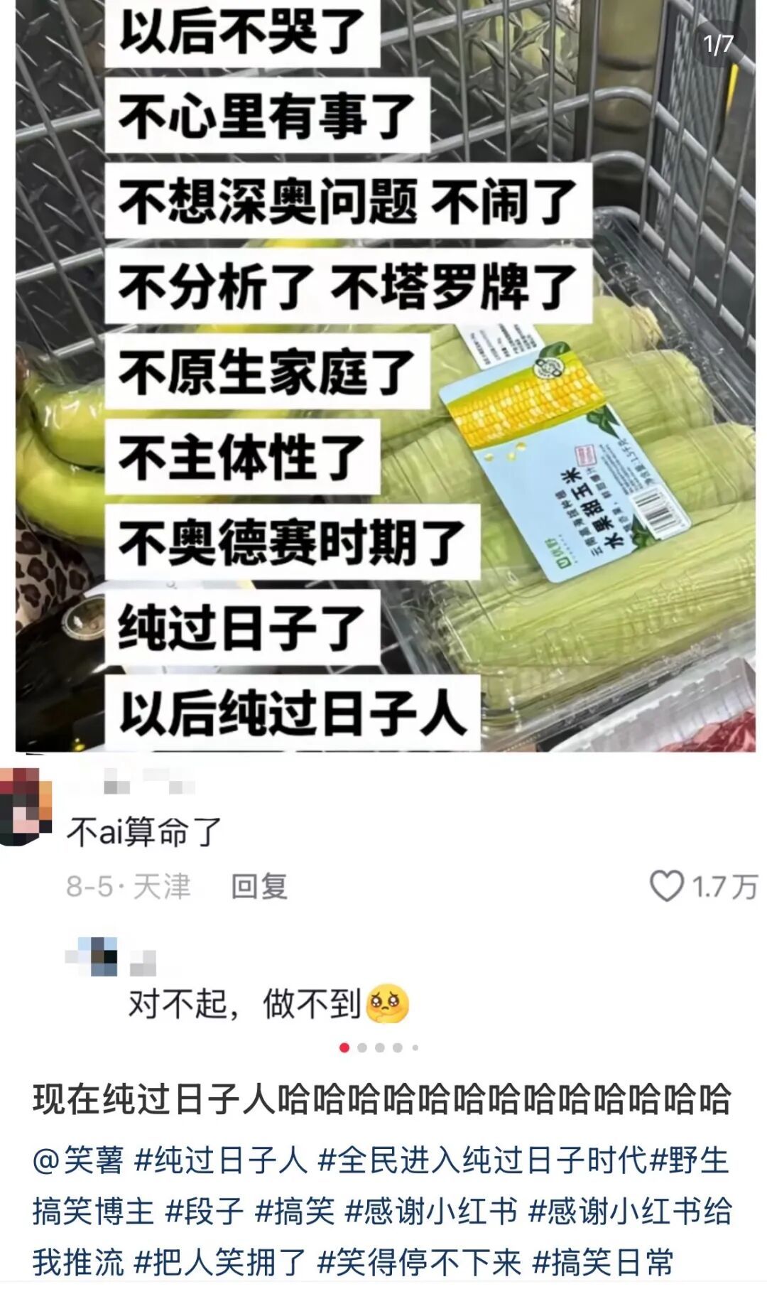 “纯过日子人宣言”,从不剖析自己开始。(图/小红书截图)