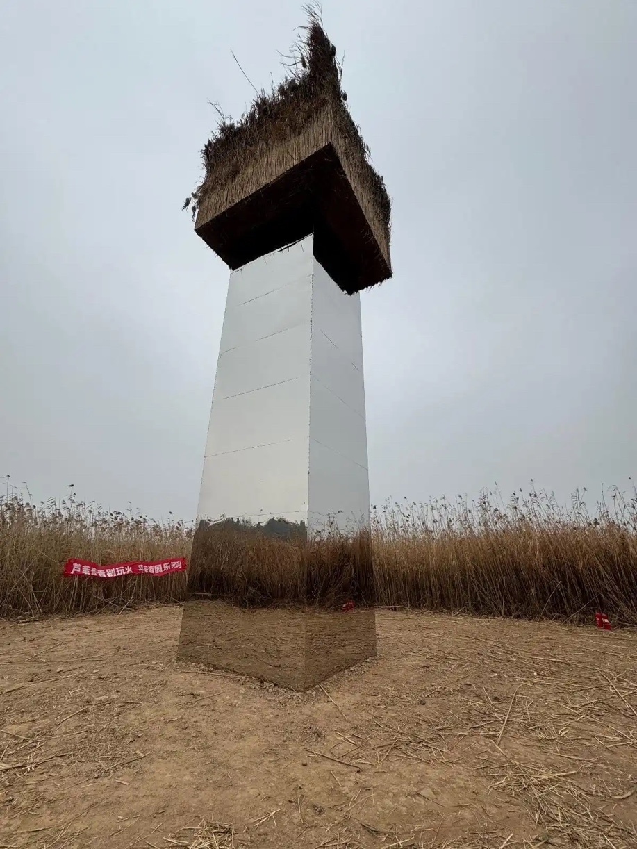 艺术装置“浮土”被指威胁鸟类安全。