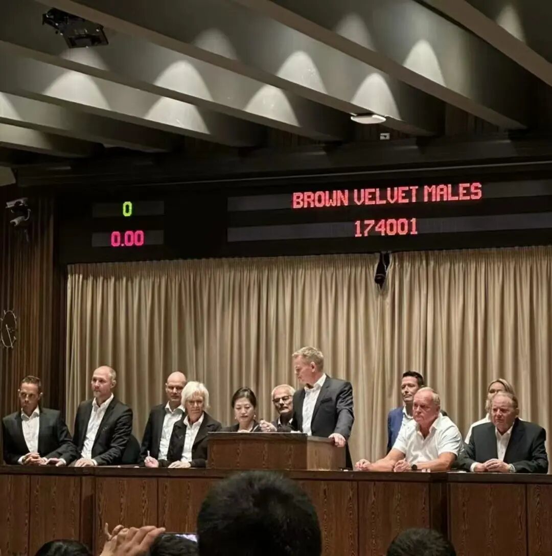 〓 哥本哈根拍卖会现场