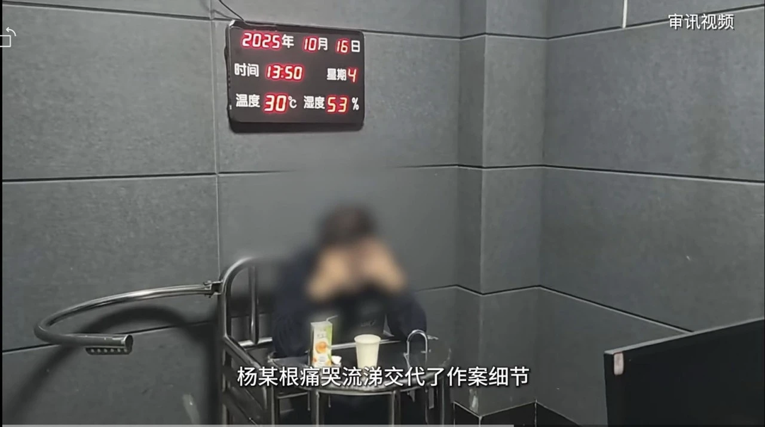 陈某宇前夫杨某根交代作案细节