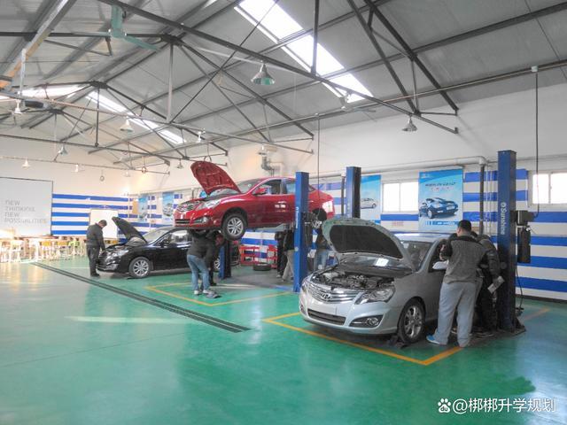 新能源汽车可不可以学？-有驾