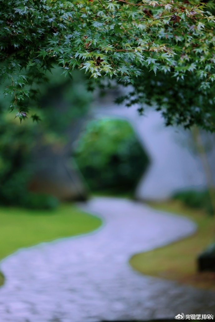 #你早,无锡# 细雨漫过鼋头渚江南兰苑，青瓦滴响，翠竹含烟~#行摄无