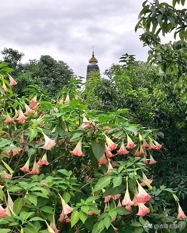 舍利塔与曼陀花