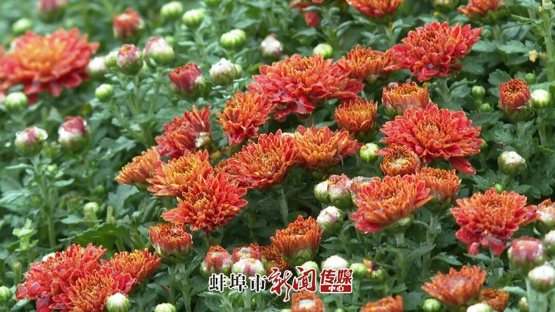 序列 01.00_00_56_16.Still121.jpg