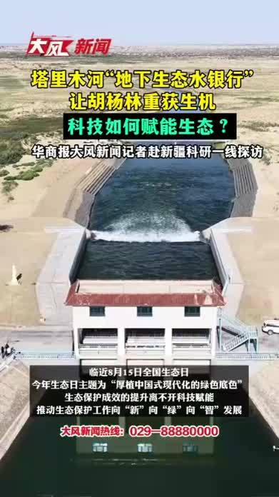 塔里木河“地下生态水银行”让胡杨林重获生机，科技如何赋能生态？华商报大风新闻记者赴新疆科研一线探访