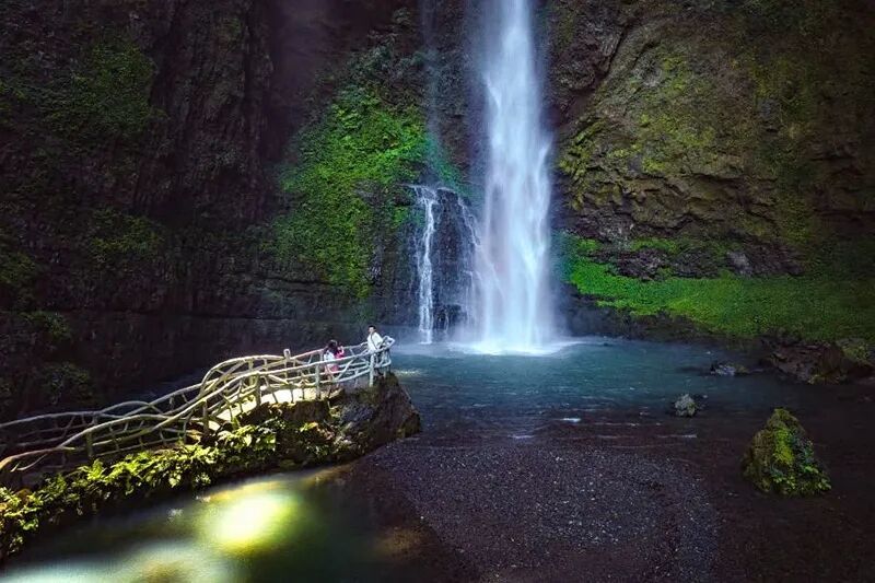 神龙峡的夏天，是活力四射的。徒步在山林之间，听溪水潺潺，观瀑布闻鸟鸣，感受大自然的生机勃勃！每一处风景，都像是一幅精心绘制的山水画卷，让人流连忘返。金佛山旅游 (1)_副本.jpg