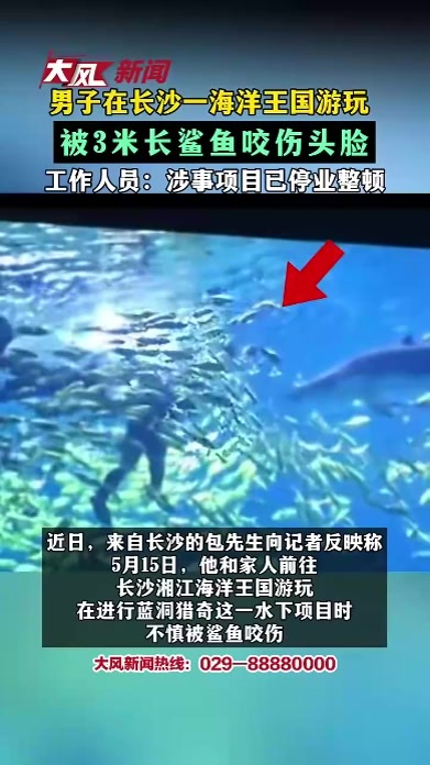 男子在长沙一海洋王国游玩 被3米长鲨鱼咬伤头脸 工作人员：涉事项目已停业整顿