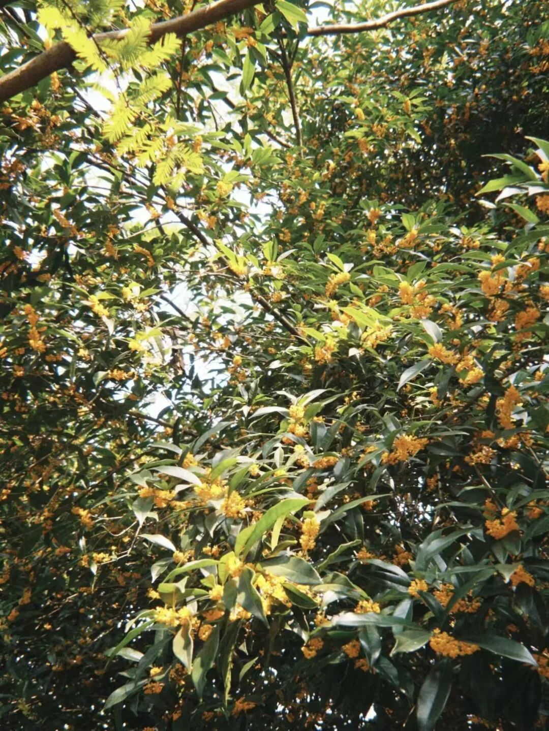 5915f57c0e55a280ab4c0d5ad363d02b.jpg