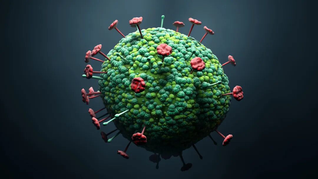 尼帕病毒丨图虫创意