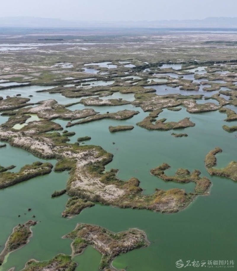 宛如大自然调色盘的艾西曼湿地。□麦吾兰江·莫明摄