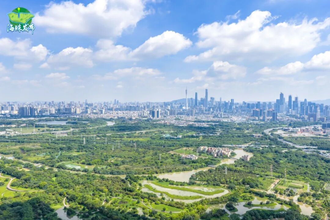 海珠湿地全景城市天际线.jpg