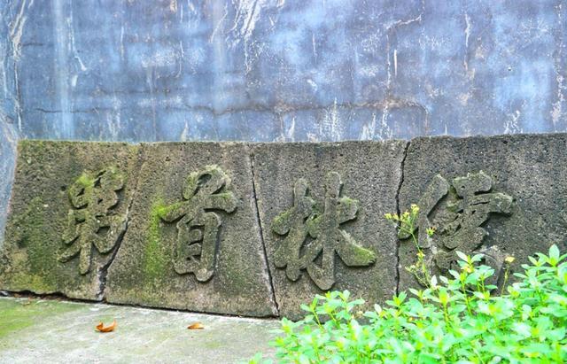 图源：南海旅游微信公众号
