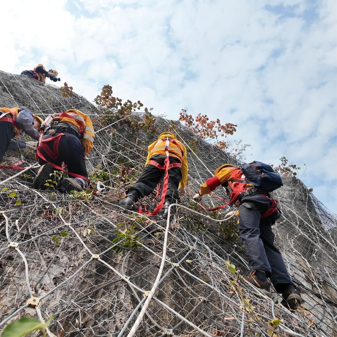 新春走基层｜铁路边的“爬山虎”突击队为何要给石头“上户口”？