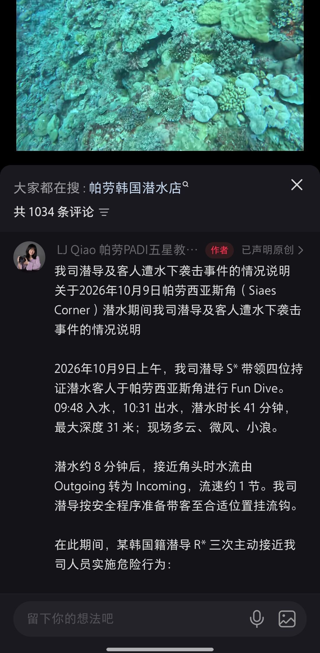 涉事公司情况说明