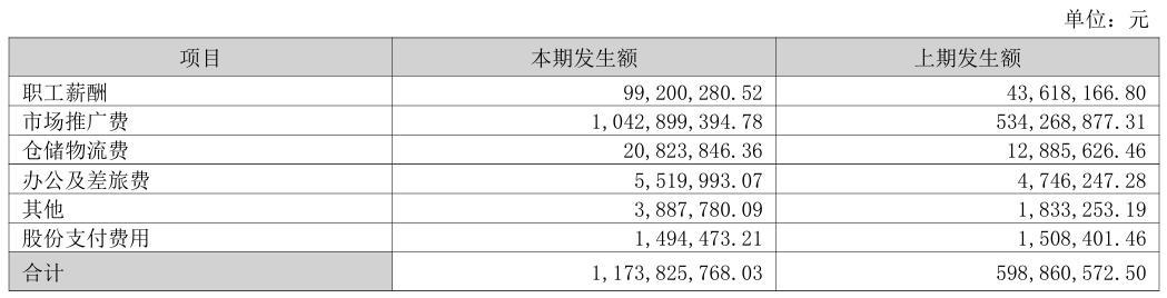 图片来源：半年报截图