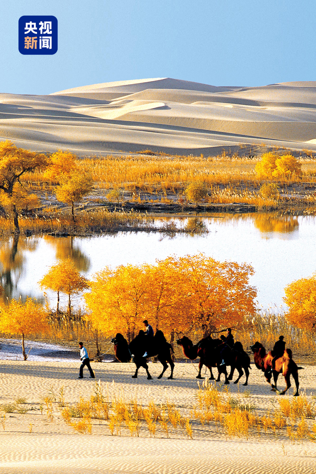 △罗布人村寨。摄/王汉冰