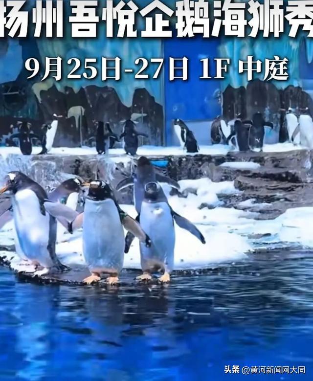 △宣传视频截图。