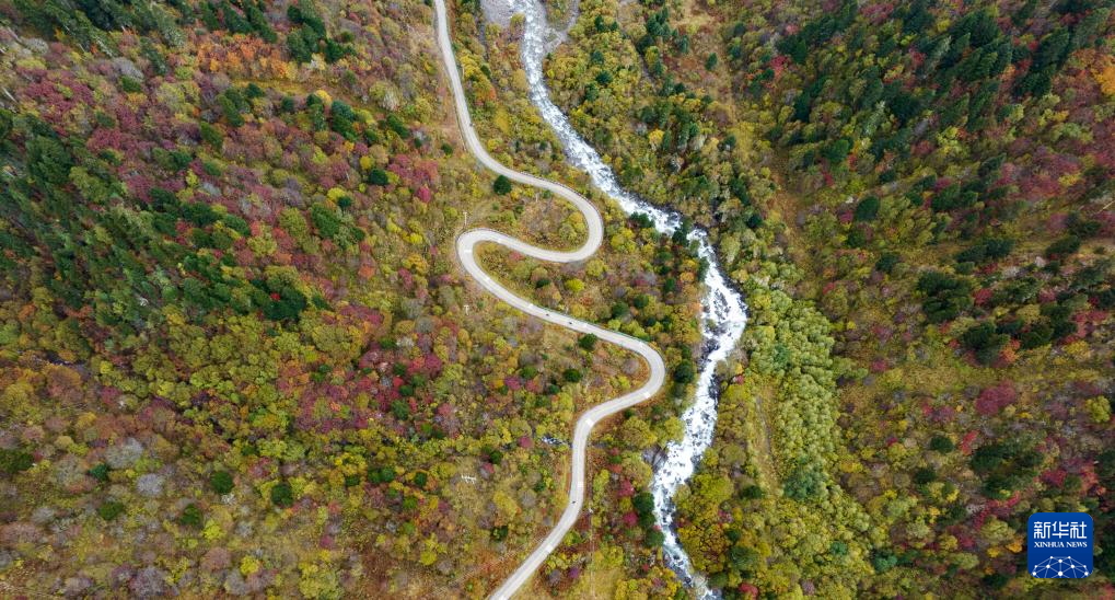 这是林芝市境内前往措木及日景区的旅游支线公路(2024年10月20日摄,无人机照片)。