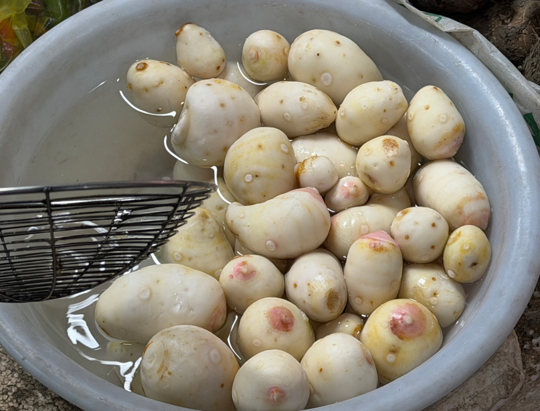 IMG_2822.JPG