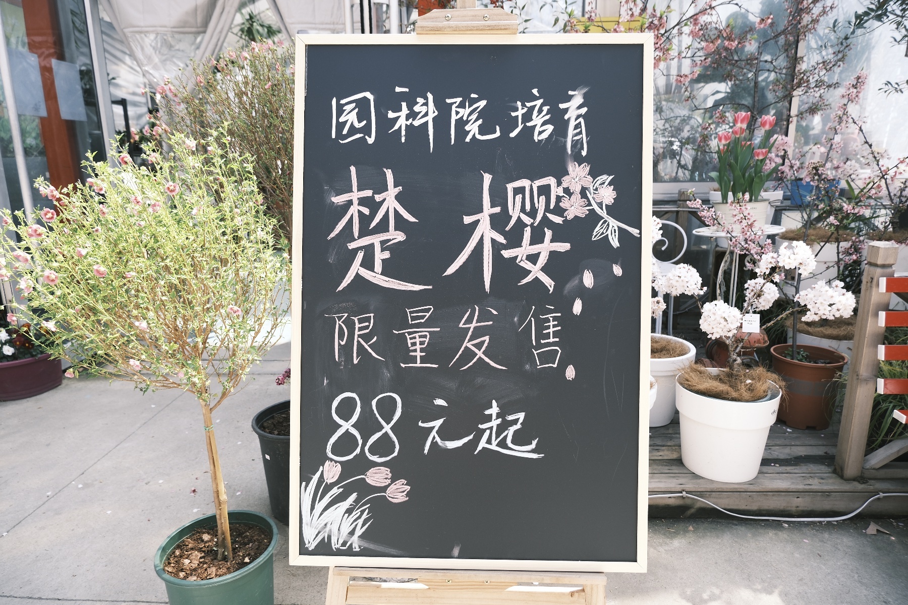 微信图片_20260316125903_1543_345