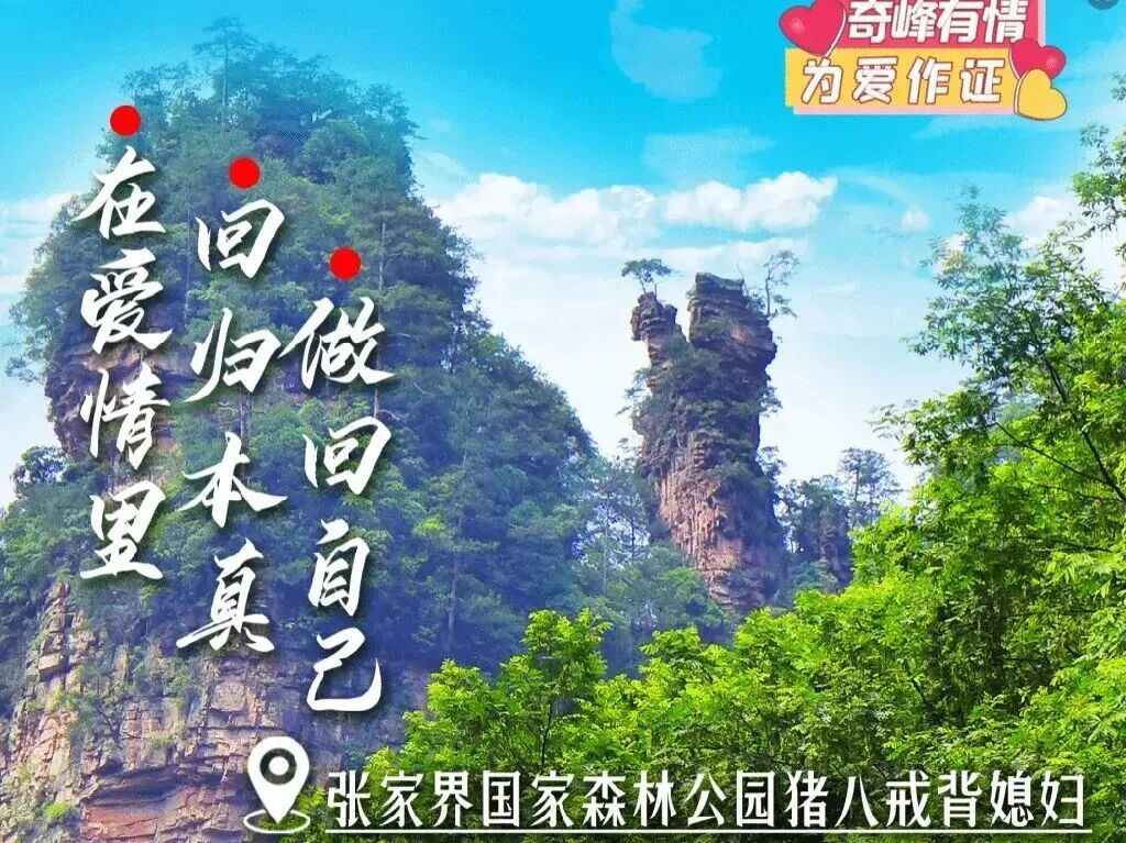 张家界国家森林公园里的“猪八戒背媳妇”/图源:张家界文旅