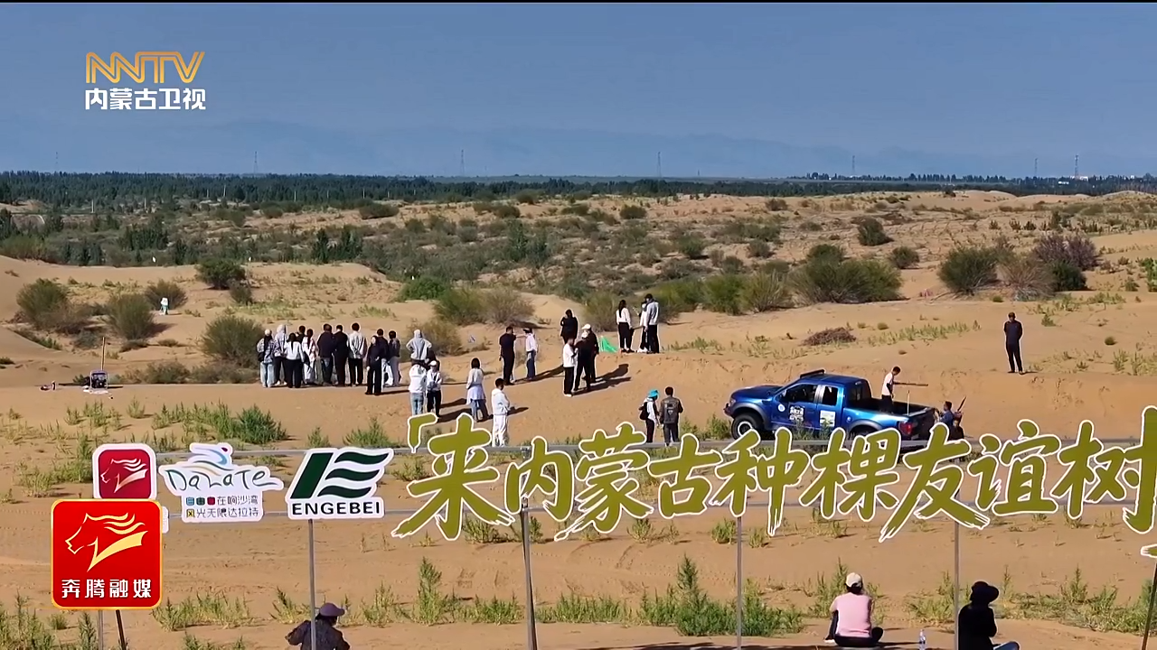 视频截图