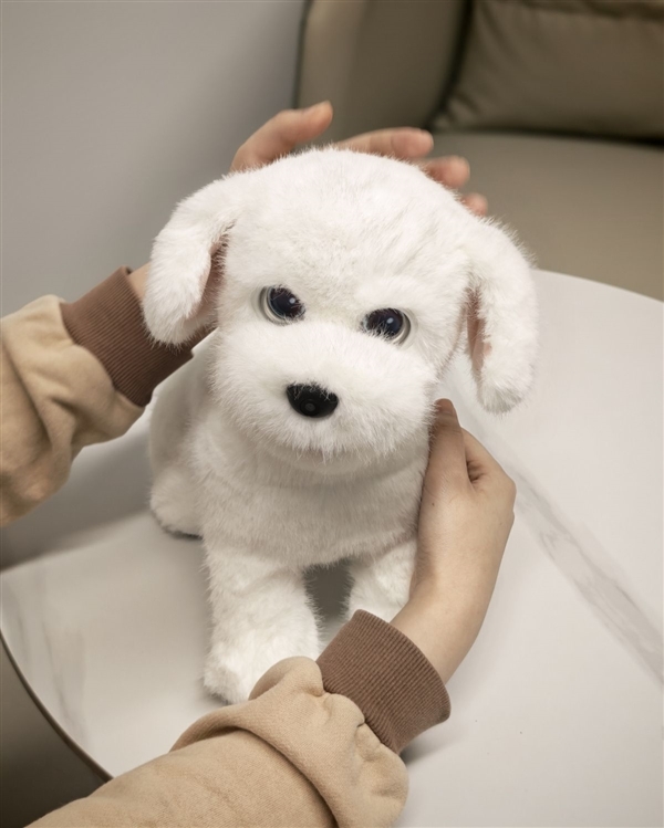 会撒娇能成长!科沃斯毛团陪伴机器人图赏