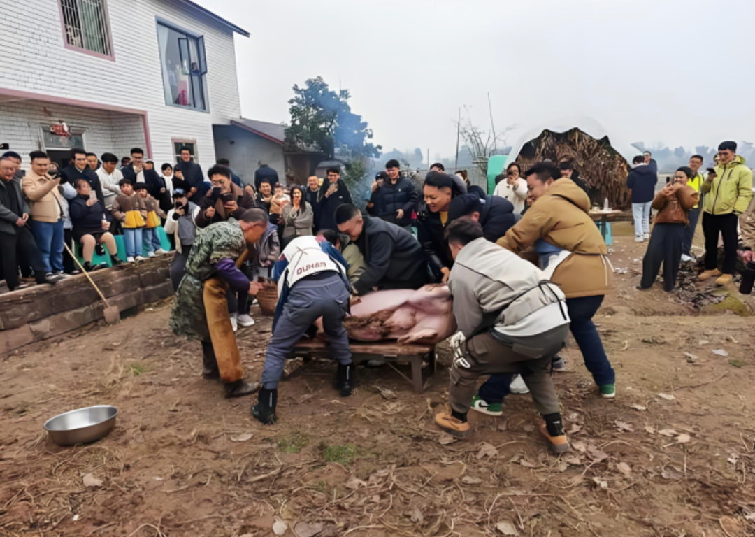 杀猪宴：翻车，早已注定(图11)