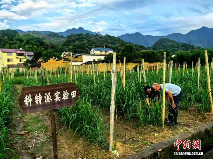 图为薄国强在松溪县万前村参观调研。受访者供图