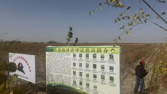 民丰县后河坝沙漠阻击区一期治沙工程,种植红柳,套种药材。