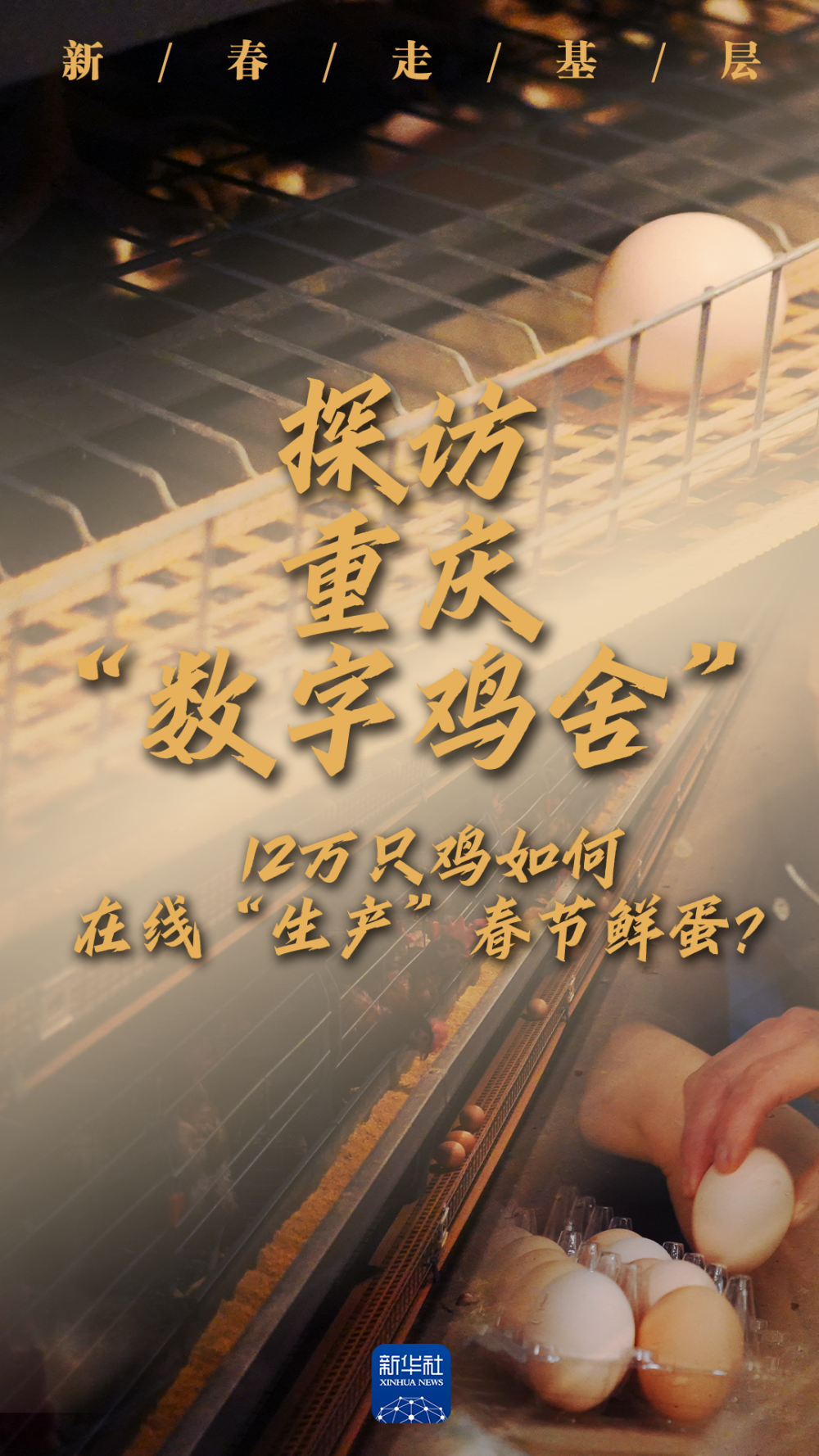 海报设计：聂毅