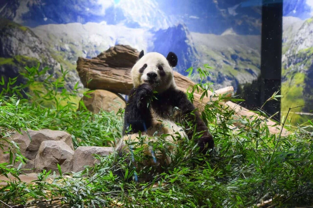 △图为“晓晓”