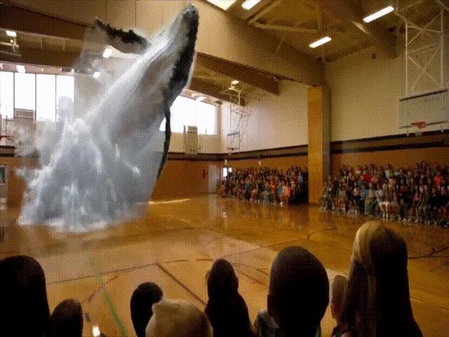 图片来源:Magic Leap