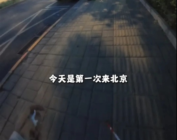 盲人女孩走盲道遭逆行电车撞倒:反被怒斥不看路 交警介入后肇事者道歉