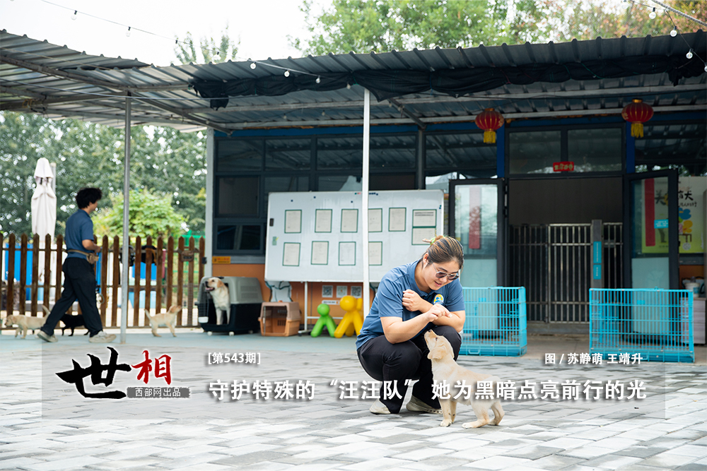 c44ad78dc2bdfaa43151c96854c48382.png