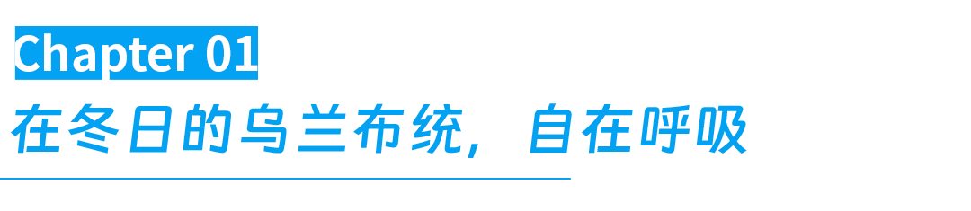 没见过雪的南方人,都在内蒙这里玩疯了