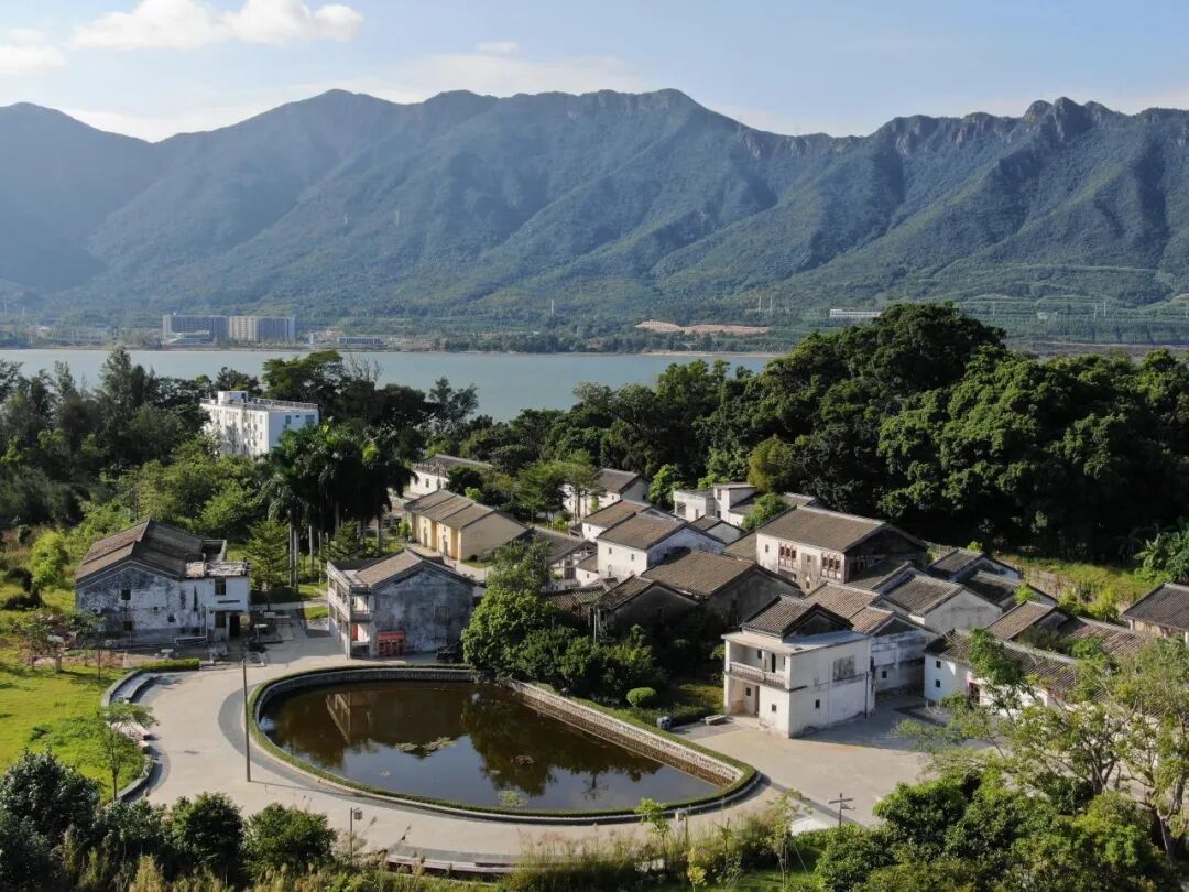 閾跺彾鏍戞箍鍦板洯.jpg