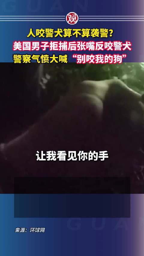 美国男子拒捕反张嘴咬警犬 人咬警犬算不算袭警？美国男子拒捕后张嘴反咬