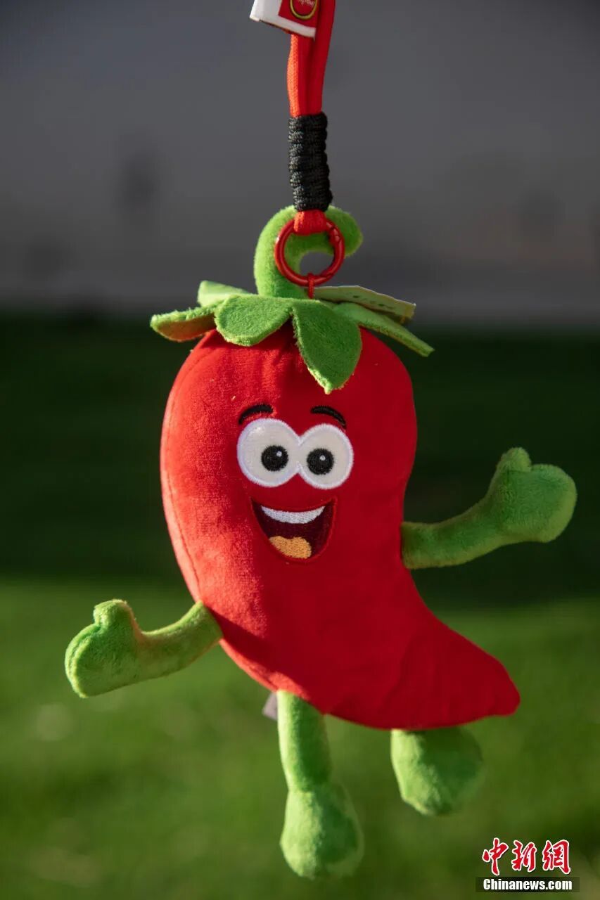 鸡泽辣椒文创。 中共鸡泽县委宣传部供图