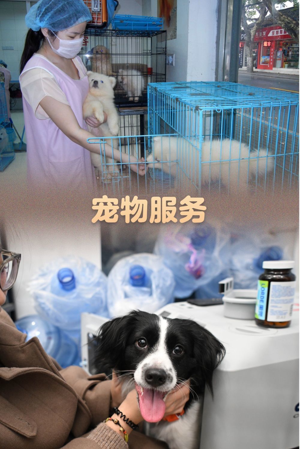 上图：2014年10月1日，江苏苏州白塔东路一家“宠物宾馆”的工作人员在照料被寄养的小狗。新华社发（王建康 摄）；下图：2026年2月3日，在深圳北站中铁快运营业部，一名乘客安抚她的宠物狗进入宠物托运专用箱。新华社记者 邓华 摄