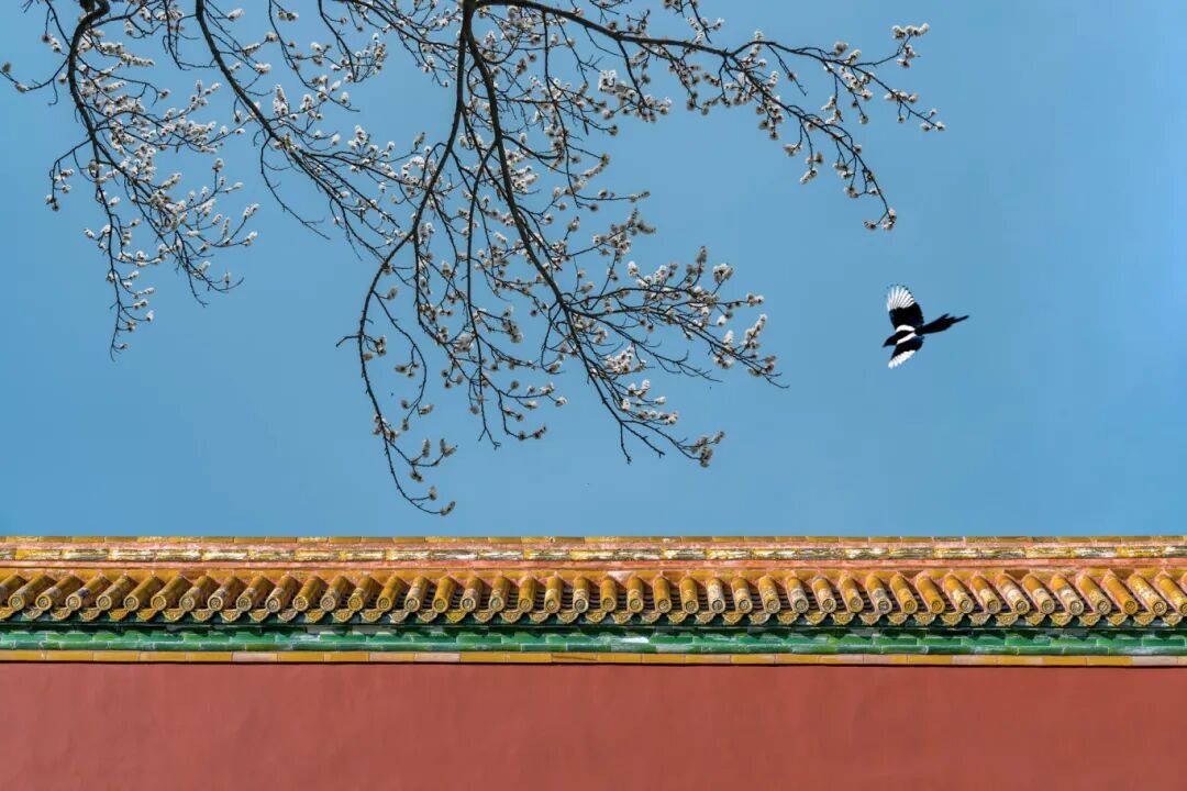摄图网_501573692_banner_春分（企业商用）.jpg