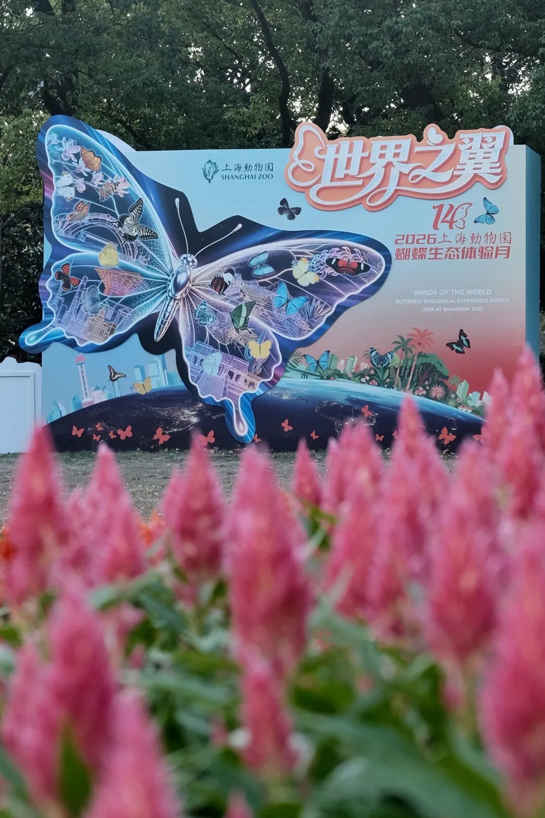 134d48cfd1a455bae92e070f9f0c7057.jpg