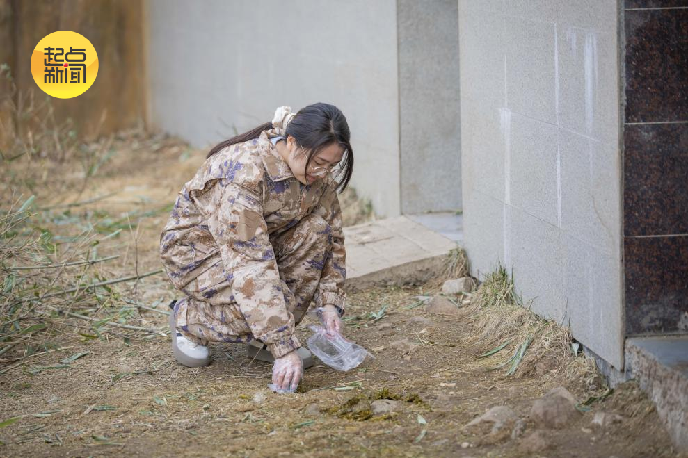 正在取样大熊猫粪便的杨丽
