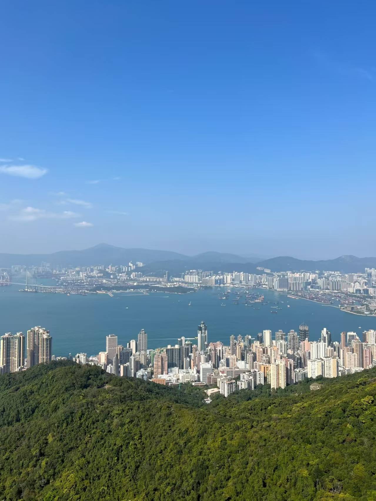 微信图片_20260817164223_1633_2.jpg