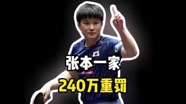 240万重罚！寒心彻骨！张本一家结局令人唏嘘伙伴计划精选计划