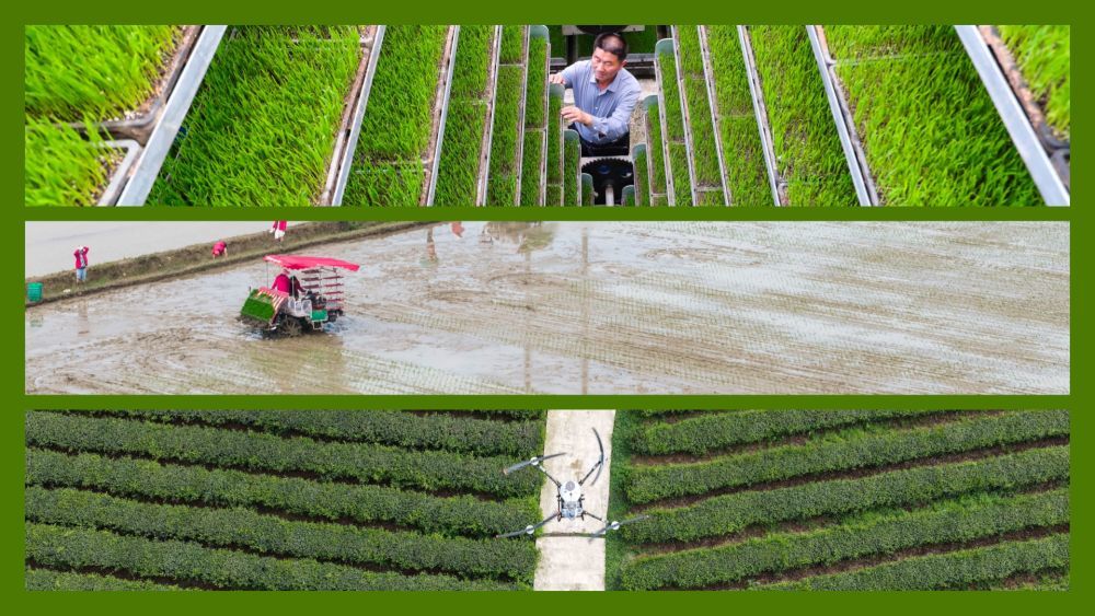 春播春管进行时——各地农业高质量发展一线观察