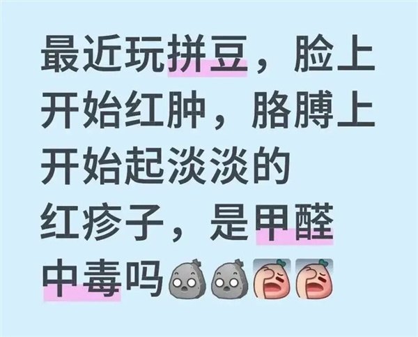 拼豆正式进入大考研时 代