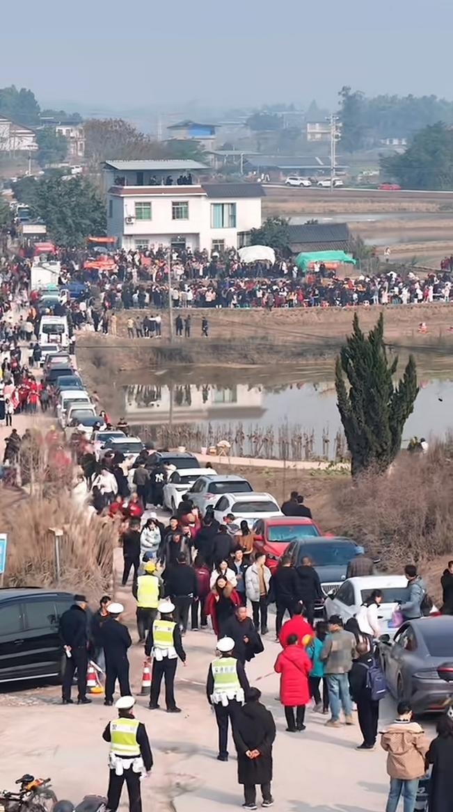 11日上午,呆呆家们口的车龙。(图/网络)